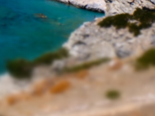 粉象生活直播助理