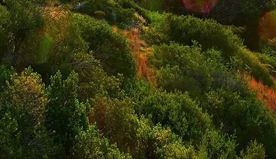 粉象生活怎么赚积分