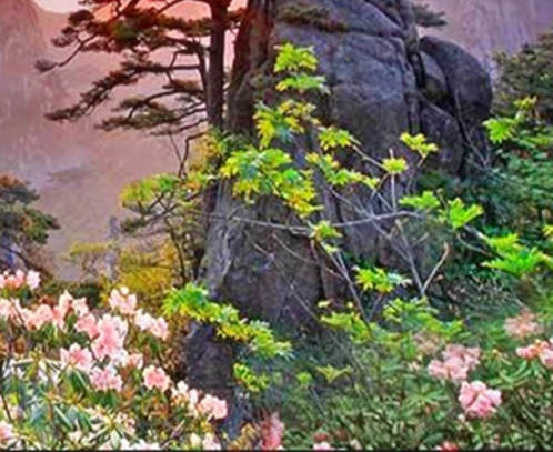 电商粉象生活怎么赚钱