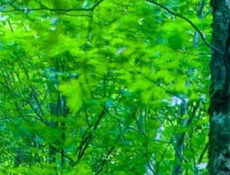 关注粉象生活