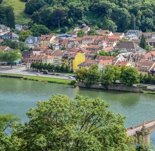 粉象生活公司主体