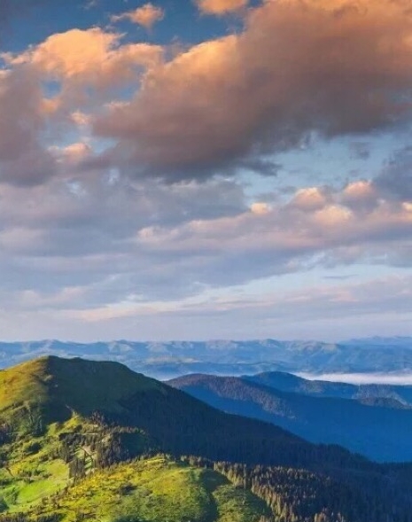 粉象生活赚钱制度