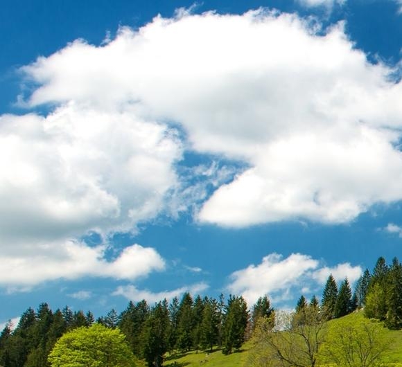 粉象生活是怎么赚钱的