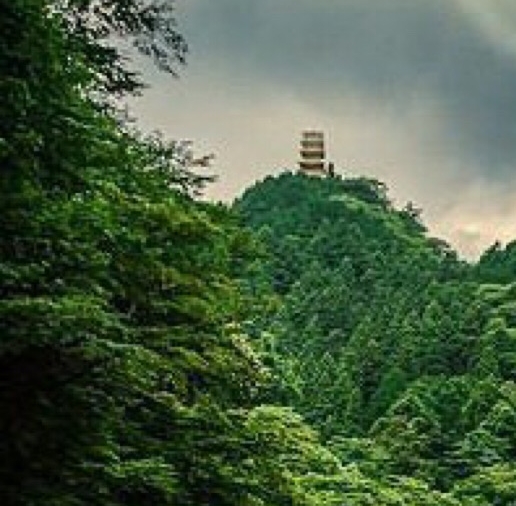 粉象生活是怎么赚钱的