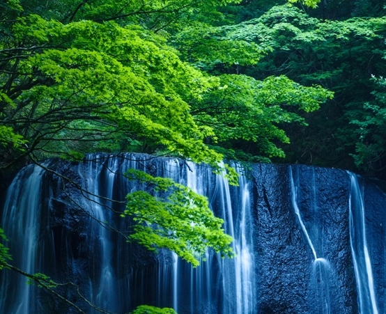粉象生活任虎