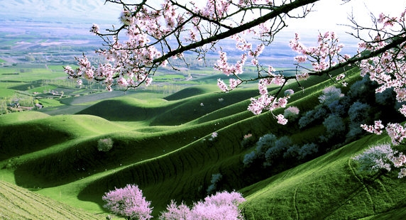 粉象生活是怎么赚钱的