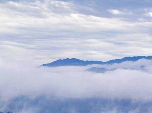 粉象生活是怎么赚钱的