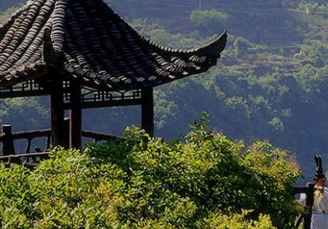 淘粉生活软件
