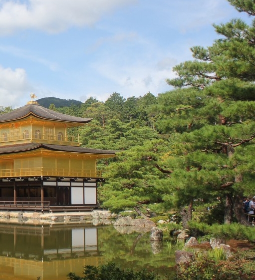 粉象生活平台发货