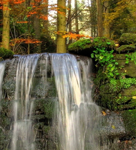 杭州云象科技大股东