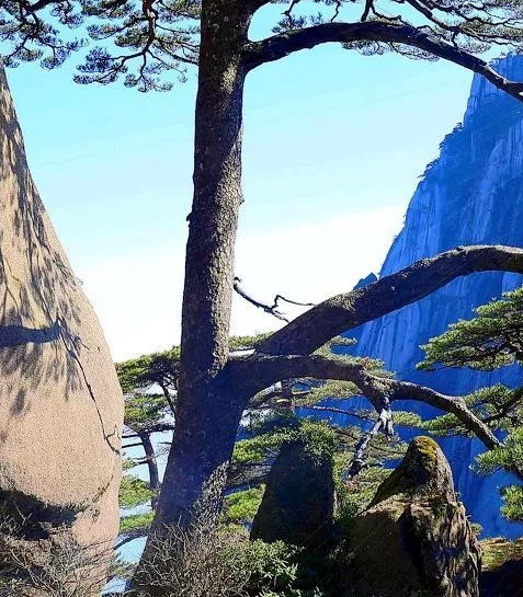 粉象生活怎么用支付宝