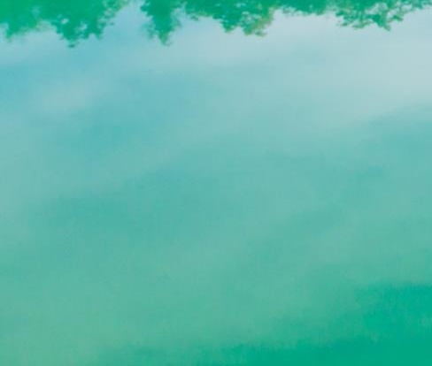 杭州粉象生活公司