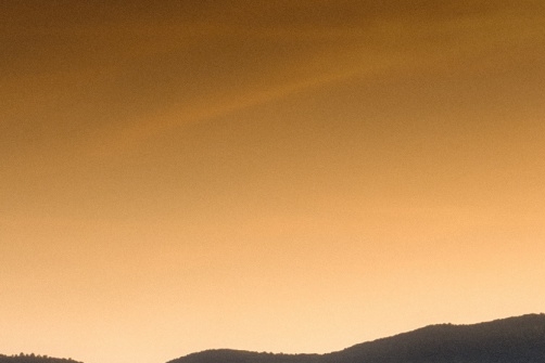 上海粉象生活赚钱