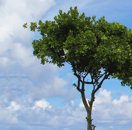 粉象生活注销账号后无法再注册吗