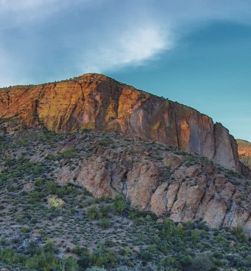 粉象生活怎么买流量
