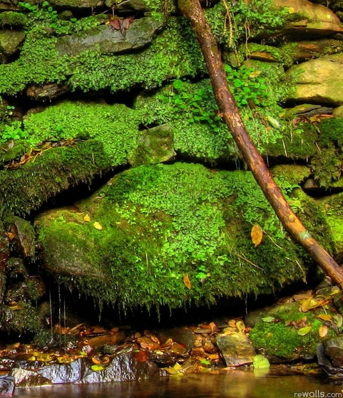 粉象生活官网首页