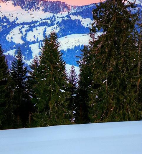 粉象生活是骗人的吗