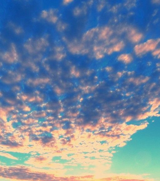 粉象生活淘宝优惠券在哪里