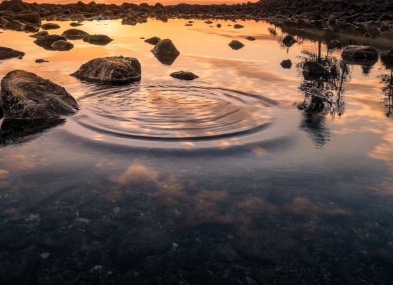 粉象生活怎么取消关注