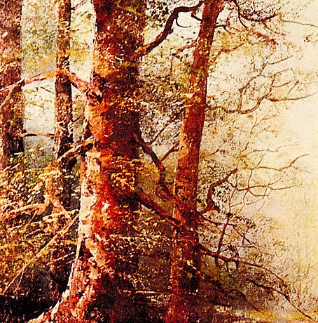 广州粉象生活怎么推广