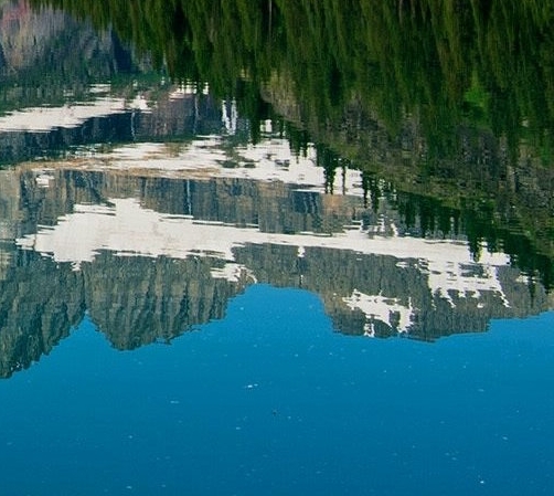 粉象生活怎么看谁发的视频