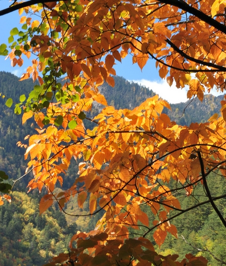 粉象生活怎么快速推广