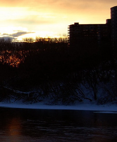 粉象生活能赚钱吗