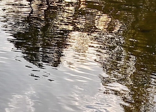 杭州云象网络技术有限公司股东