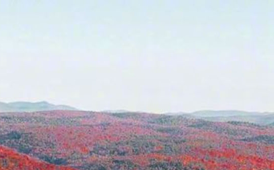 粉象生活下载app