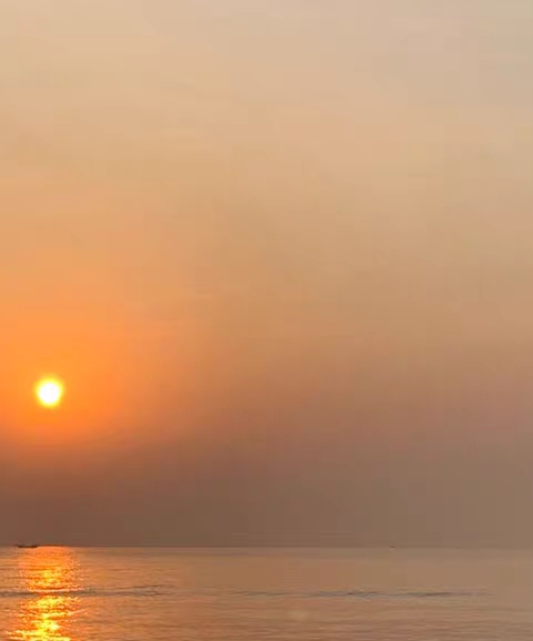 粉象生活2019杭州