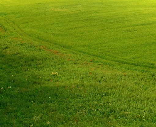 粉象生活不发货