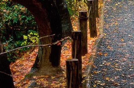 粉象生活在哪里添加粉丝