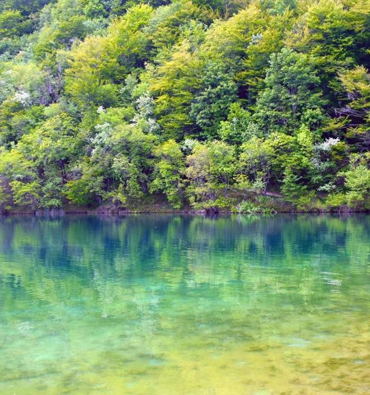 粉象生活邀请码