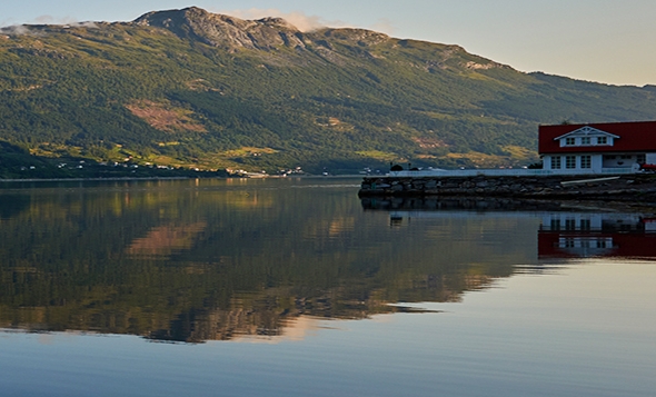 粉象生活哪个产品最赚钱