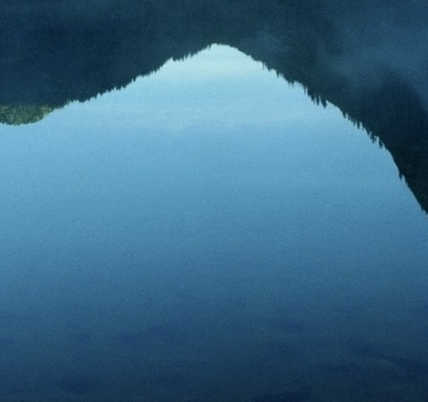 粉象生活代理怎么生成邀请码