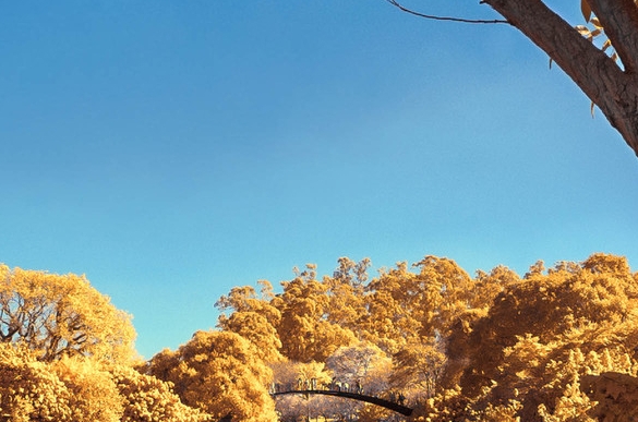 粉象生活vip权益