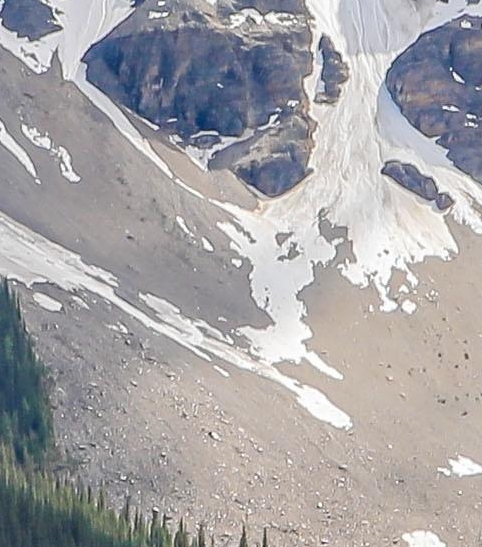 粉象生活赚钱是真的假的