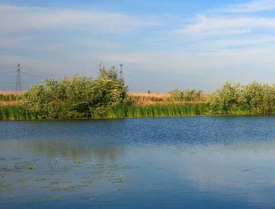 粉象生活新手怎么做