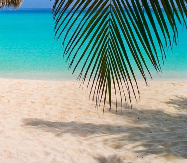 怀化生活圈下载