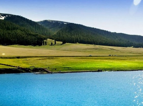 粉象生活下载app