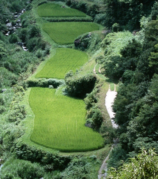 粉象生活怎么注销手机号