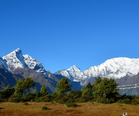 粉象生活怎么找合适的产品