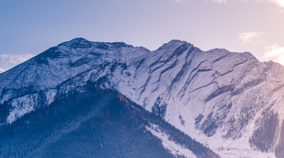 粉象生活里面如何赚钱