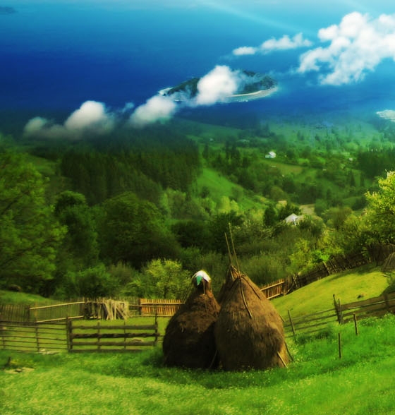 粉象生活上哪里拿的粉丝