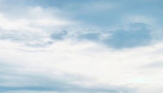 粉象生活是怎么赚钱的