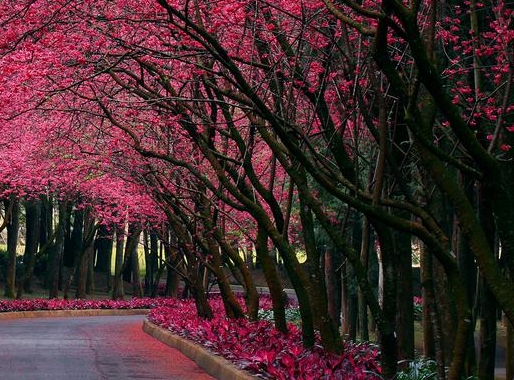 粉象生活股东结构