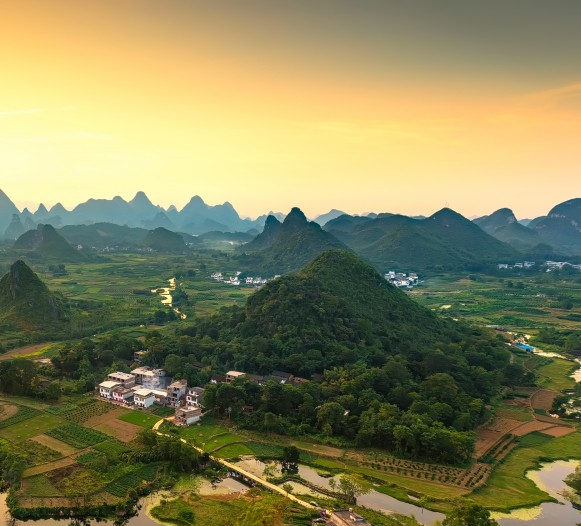 粉象生活app下载软件粉象生活