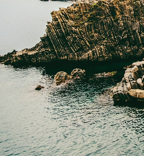 粉象生活不是vip可以得佣金吗