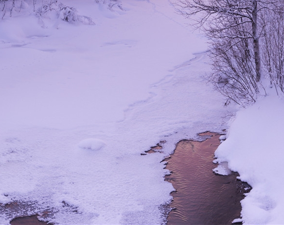 京粉京东订单违反平台规则