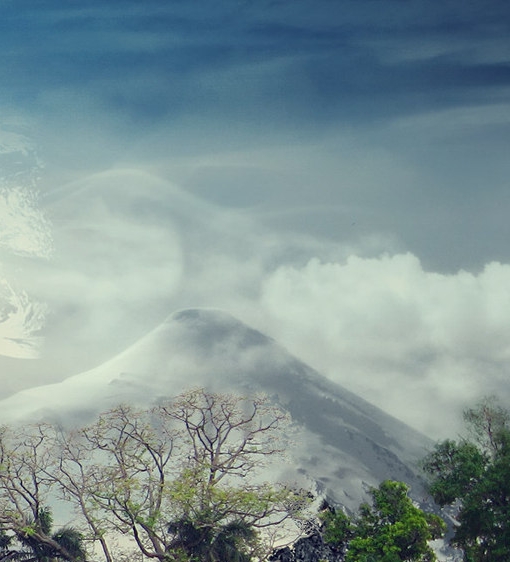 粉象生活app最新版